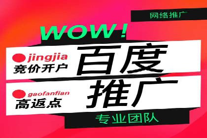 百度竞价排名服务：实战案例教你如何高效推广